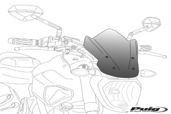 Puig Windshield Special Yamaha Fz1 06-16 C/Smoke