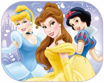 KÜLJEAKNA PÄIKESEKAITSE 44X35CM PRINTSES