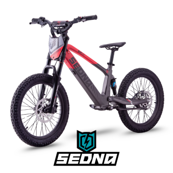 Laste ja noorukite ratas SEDNA SX 20" 750W