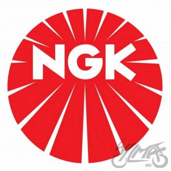 Süüteküünal NGK Bpr7es 2023 ( w22epru )