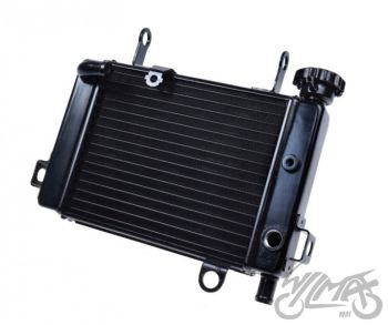 Jahutusradiaator Honda CBR125