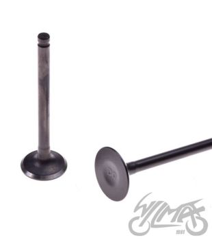 Klapid (sisselaske ja väljalaske) 110cc - 1P52FMH