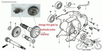 Käigukast DIO 50 TUNING