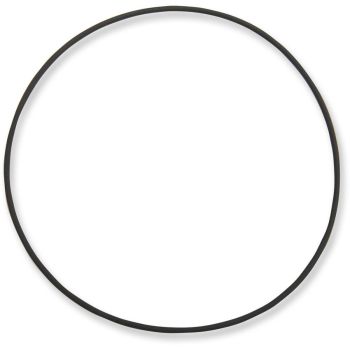 LARGE O-RING ALL CAM CVR