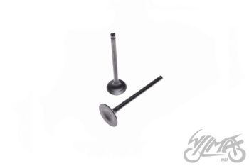 Klapid (sisse+välja) 156FMI mootorile