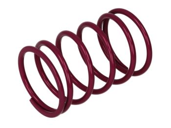 Variaator