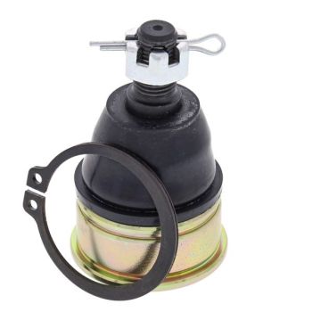 Kande-/juhtliigend