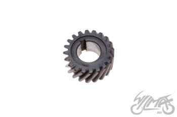 Käigukasti veo hammasratas - Minarelli AM6