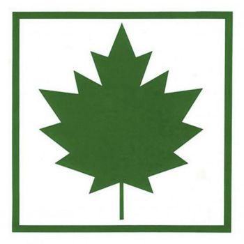 VAHTRALEHT KARTONG 1TK