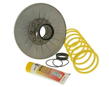 torque driver Malossi for Honda Foresight, Pantheon, Reflex, Forza, Jazz