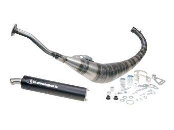 exhaust Tecnigas E-Box for Yamaha TZR, Aprilia RS50, Rieju RS (AM6)