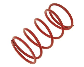 torque spring Top Racing +22%