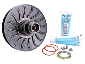 torque converter kit Polini Speed ??Drive Evolution for Piaggio