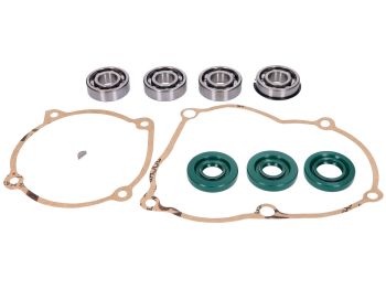engine gasket and bearing set for Puch Maxi S, N, E50 (old type engine)