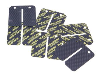 carbon reed petals VL9 VL12 Malossi Carbon