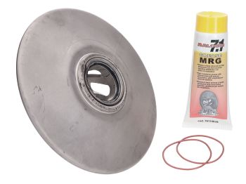 torque driver Malossi for Aprilia Leonardo, Scarabeo 125, 150cc 4-stroke