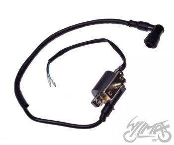 Süütepool, 2 juhet, 1 poldiga raami külge