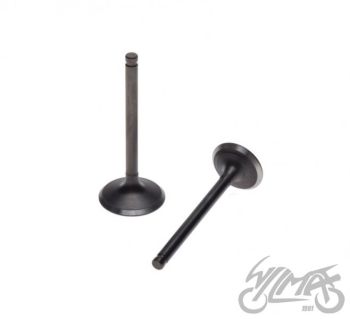 Klappide komplekt (sisselaske- ja väljalaskeklapp)