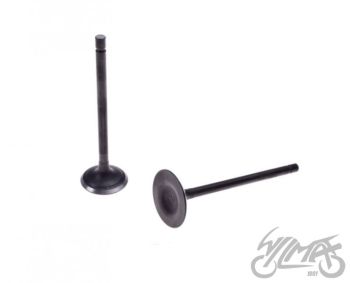 Klapi komplekt (sisse + välja) - 200cc Loncin LC