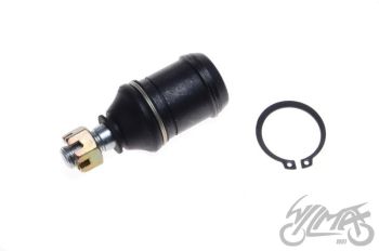 Sarniir alumine - Hiina kvadid.