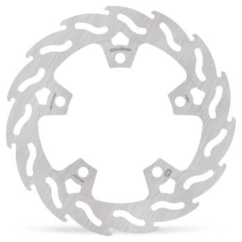 BRAKE DISC FLAME REAR