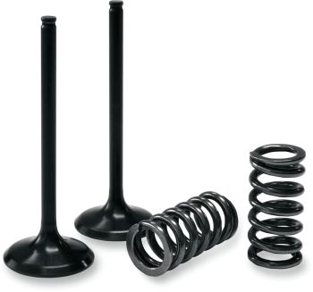 VALVE IN/SPRING KIT CRF450R