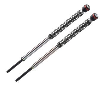 FRT SHOCKS H-D SSTER