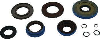 TRANSAXLE SEAL KIT POL MSE
