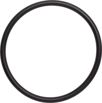 O-RING EXH TRX250R