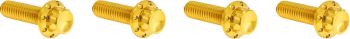 BOLT KIT TITANIUM - M8 24-25 -