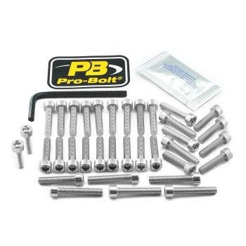 BOLT KT ENGINE HON SILVER