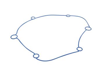 seal gear cover Polini Evolution Gear Box for Minarelli horizontal long