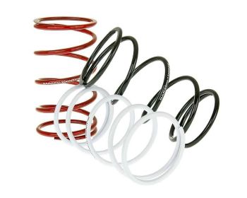 torque springs Naraku Sport V.2 - set of 3 pcs - for GY6, Kymco, Honda, Piaggio