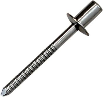 RIVET SS D4 8x8 CLEAR