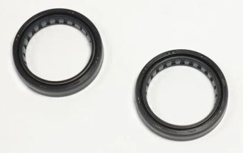 FORK SEAL 45X58X11