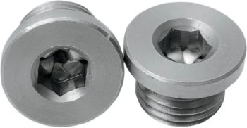 PLUGS O2 SENSOR PORT - 12MM X