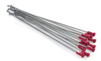 SPOKES 21FR SI /RE NIP 12PC