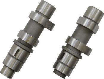 CAMS 21HG 06DYNA 07-17 BT