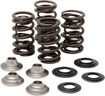 SPRING KIT KX450F 09-13