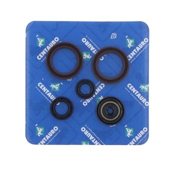 SEAL OIL KT/HV