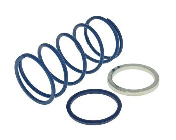 torque spring Polini Evo-Slider +40% for Minarelli