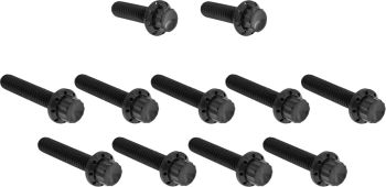 BOLT KIT TITANIUM - M8 24-25 -