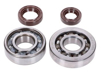 crankshaft bearing set Naraku SKF, FKM Premium C3, C4 polyamide for Peugeot vertical E2