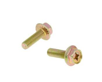 exhaust screws M6x16 - set of 2 pcs