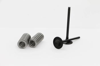 VALVE KIT INT HONDA CRF 250R 1