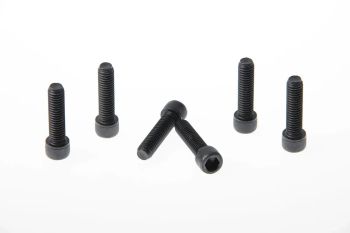 FORK TRIPLE CLAMP SCREWS