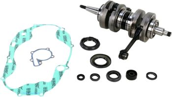 CRANK W/BRG + GASKET