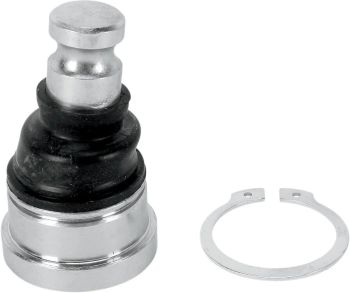 BALL JOINT LOWER POL