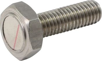 SENS BLT M6XP 1.1X19.7L 2PK