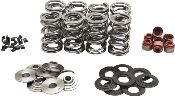 SPRING KT DUAL M8 .630 T